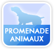 Soins et promenades d'animaux