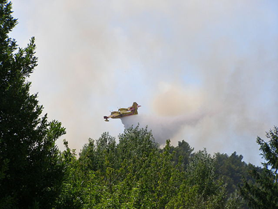 dbroussaillage : canadair qui teint un feu de fort