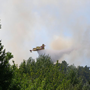 dbroussaillage : canadair qui teint un feu de fort